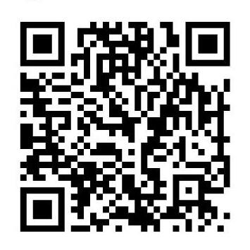 I gatti di Osvaldo-odv